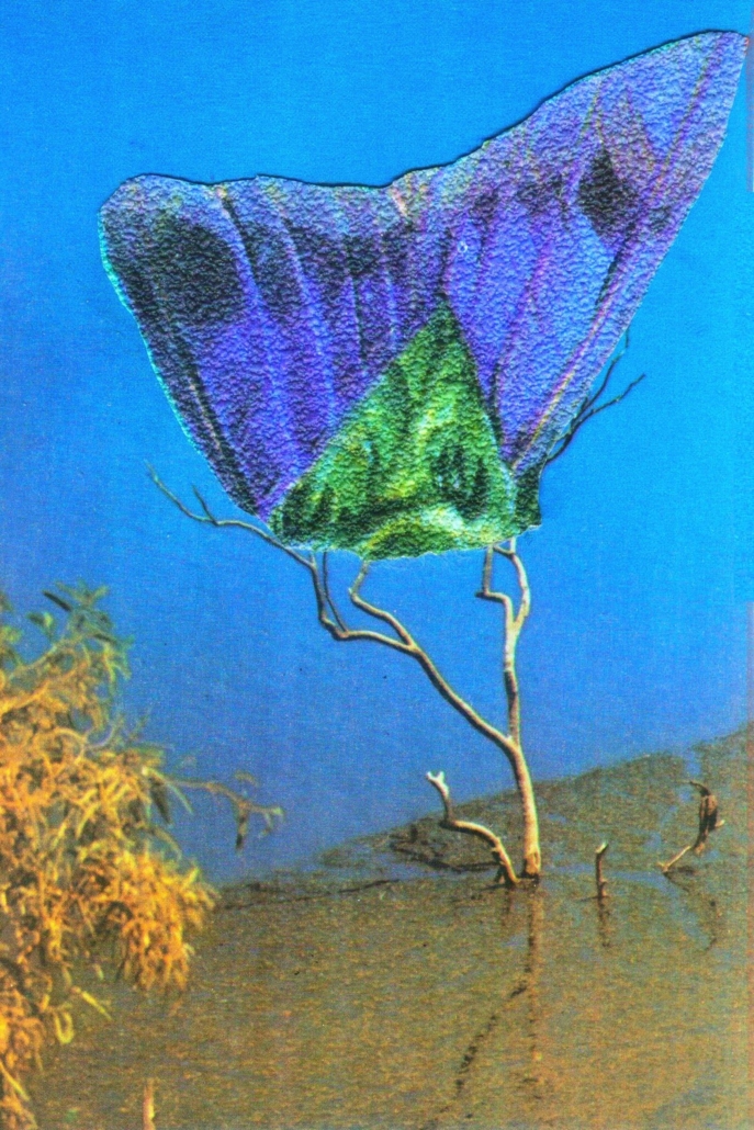 Ein Schmetterling sitzt auf einem Ast, der aus einem Gewässer herausragt.